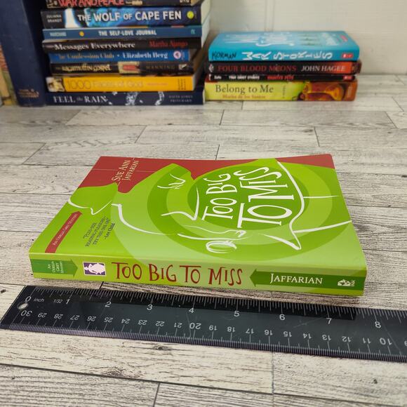 TOO BIG TO MISS An Odelia Grey‎ Mystery Sue Ann Jaffarian Trade Paperback 2006 - Picture 7 of 11